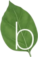 Basilico
